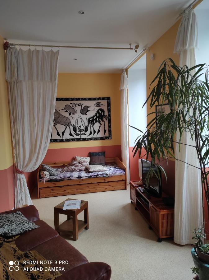 Afrique Appartement De 42M2 A La Montagne Eaux-Bonnes Kültér fotó